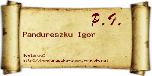 Pandureszku Igor névjegykártya